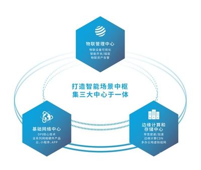 打造高效稳定网络 手机工作室路由器选择与网络组建全攻略